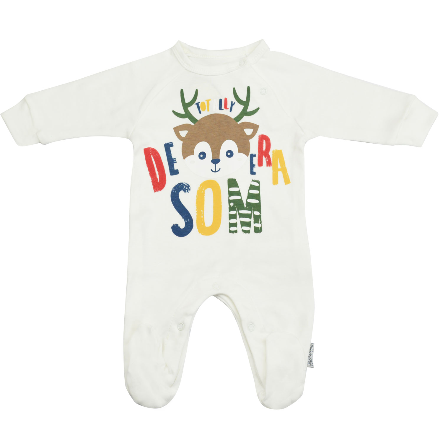 PIPPO NP1019 Maxi-Besen - Robust & Vielseitig Für Küche & Haushalt