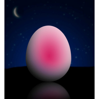 Reer Noćno svjetlo u obliku jajeta 