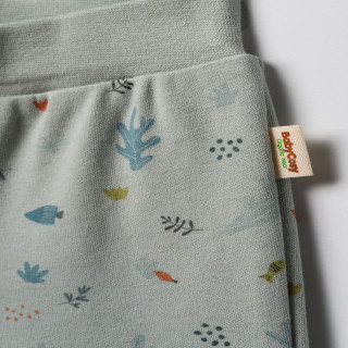 Baby Cosy pantalone bez stopica, set 2/1, unisex 