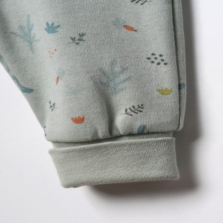 Baby Cosy pantalone bez stopica, set 2/1, unisex 