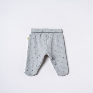Baby Cosy pantalone sa stopicama, set 2/1, dečaci 