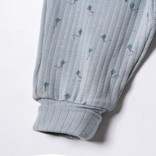 Baby Cosy pantalone bez stopica, set 2/1, dečaci 