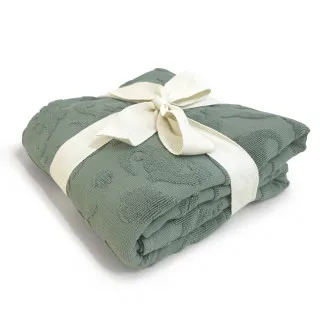 Baby Textil pokrivač od frotira Dino, 100x140 cm 