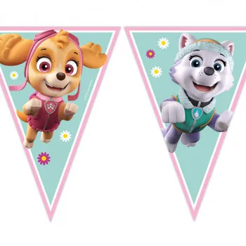 Banner paw patrol sky i everest 