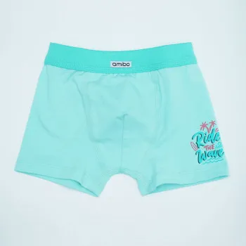 Amibo bokserice, dječaci 