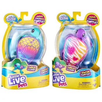 Llp Kornjačica  Asst 