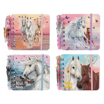 Miss Melody notes set 