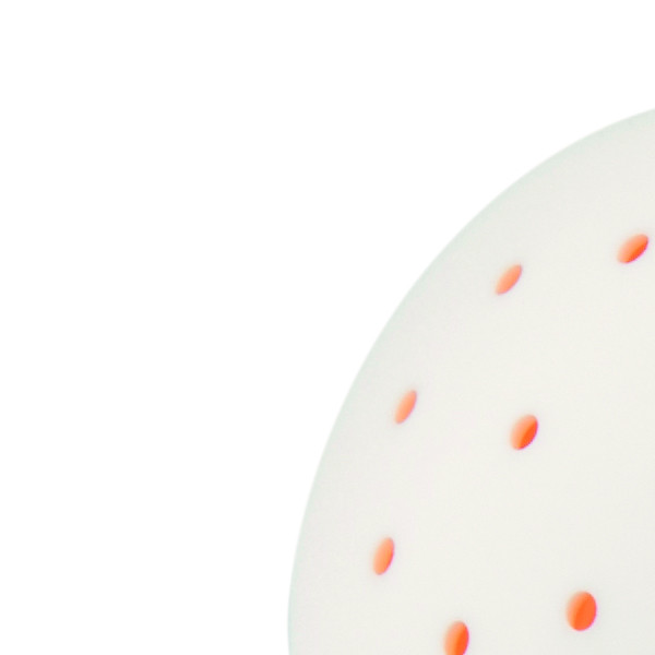 Androni Giocattoli kantica set trans Crazy fish 