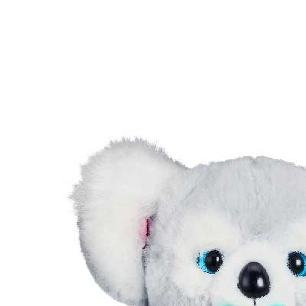 Cozy Dozy koala 