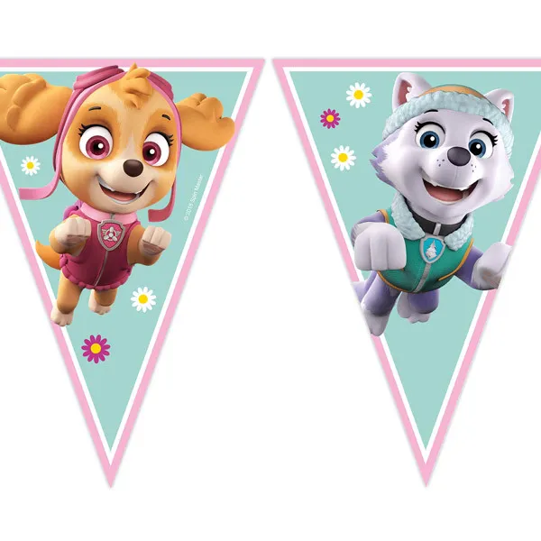Banner paw patrol sky i everest 