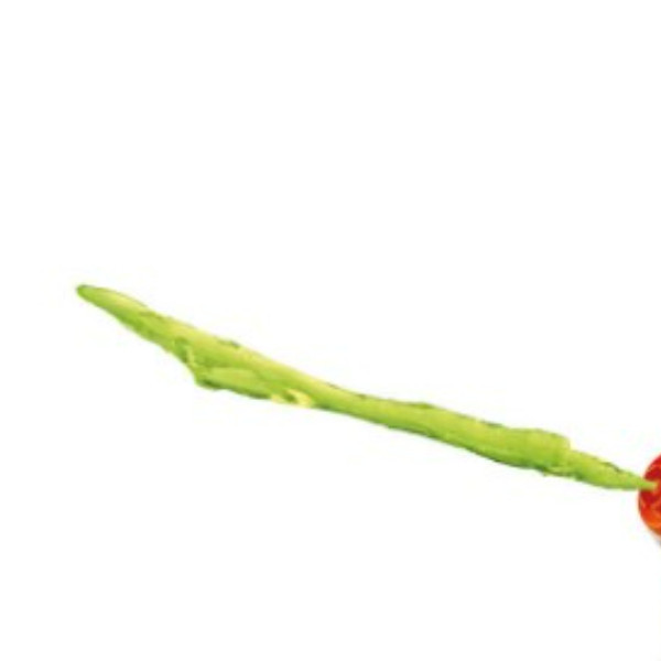 HMX SES Slime ispaljivač set 02271 
