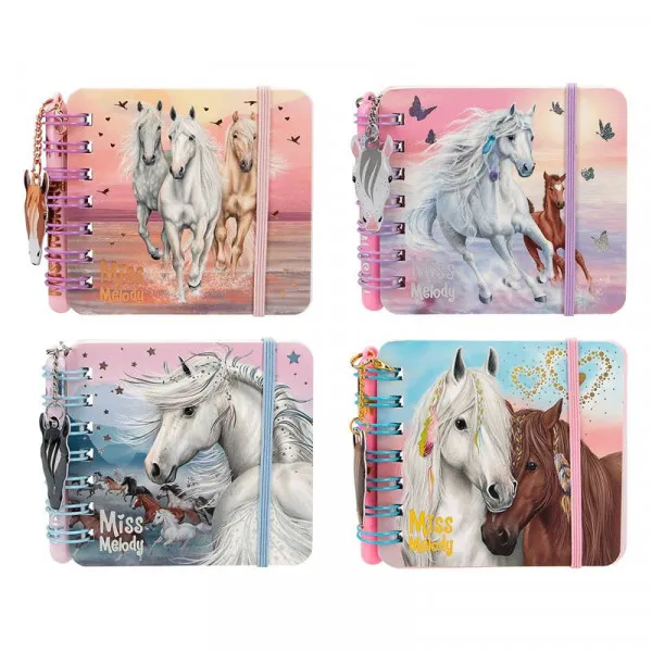 Miss Melody notes set 