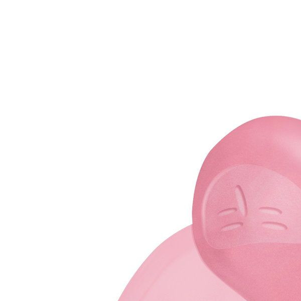 Chicco laža Physio Soft 6-16m, 1kom roze 