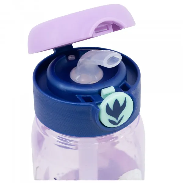 Stor flašica sa slamčicom 510 ml Frozen