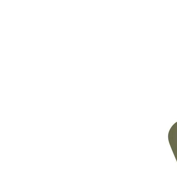 Cybex kolica Melio Carbon Moss Green 