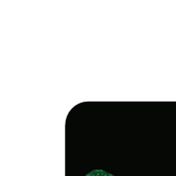 Cute&Cool svetleći sklopivi trotinet Galaxy Green 