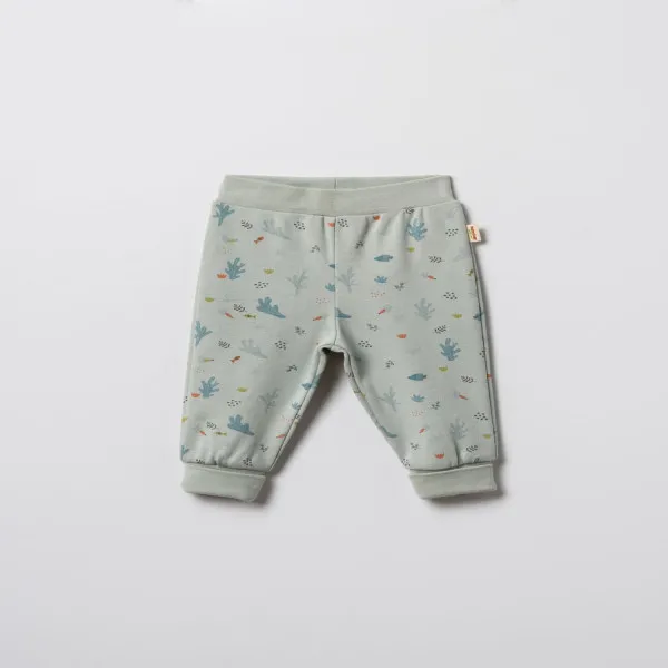 Baby Cosy pantalone bez stopica, set 2/1, unisex 