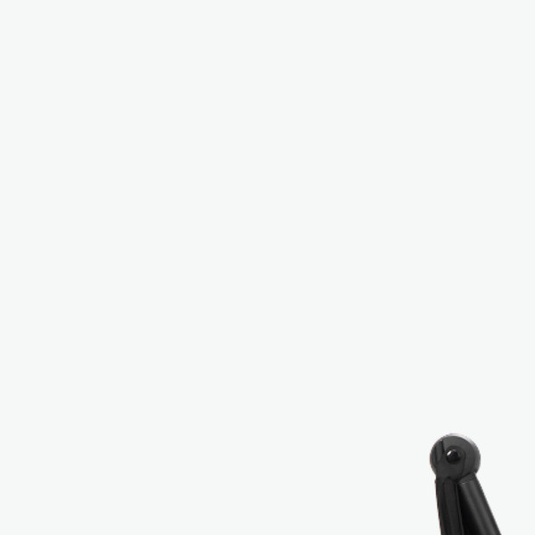 Smarttrike tricikl Wonder Max Jet Black 