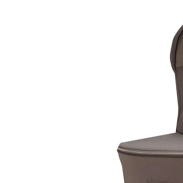 Inglesina trio sistem Aptica Darwin, Essence Mokka 
