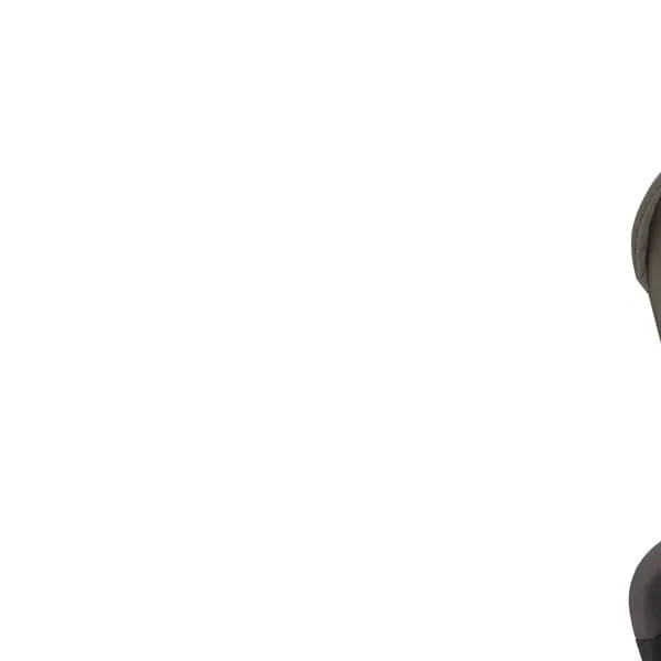 Inglesina trio sistem Aptica Darwin, Essence Mokka 