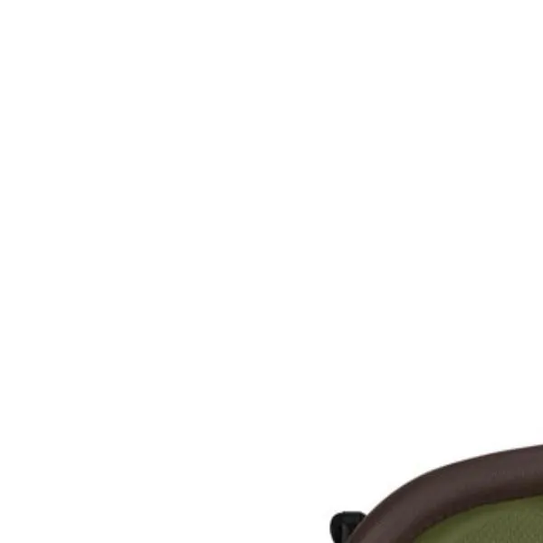 Cybex kolica Orfeo, Moss Green 2026 