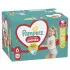 Pampers pants pelene MB 6 extra large 16+kg 84kom 