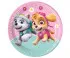 Papirni tanjur paw patrol 23 cm 8 kom 