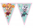 Banner paw patrol sky i everest