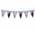 Baner frozen2