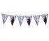 Baner frozen2 