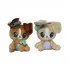 Peekapets pas 