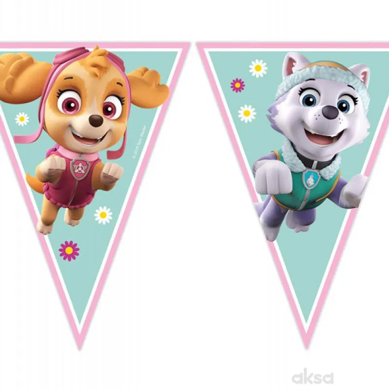 Banner paw patrol sky i everest