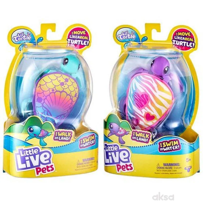 Llp Kornjačica  Asst 