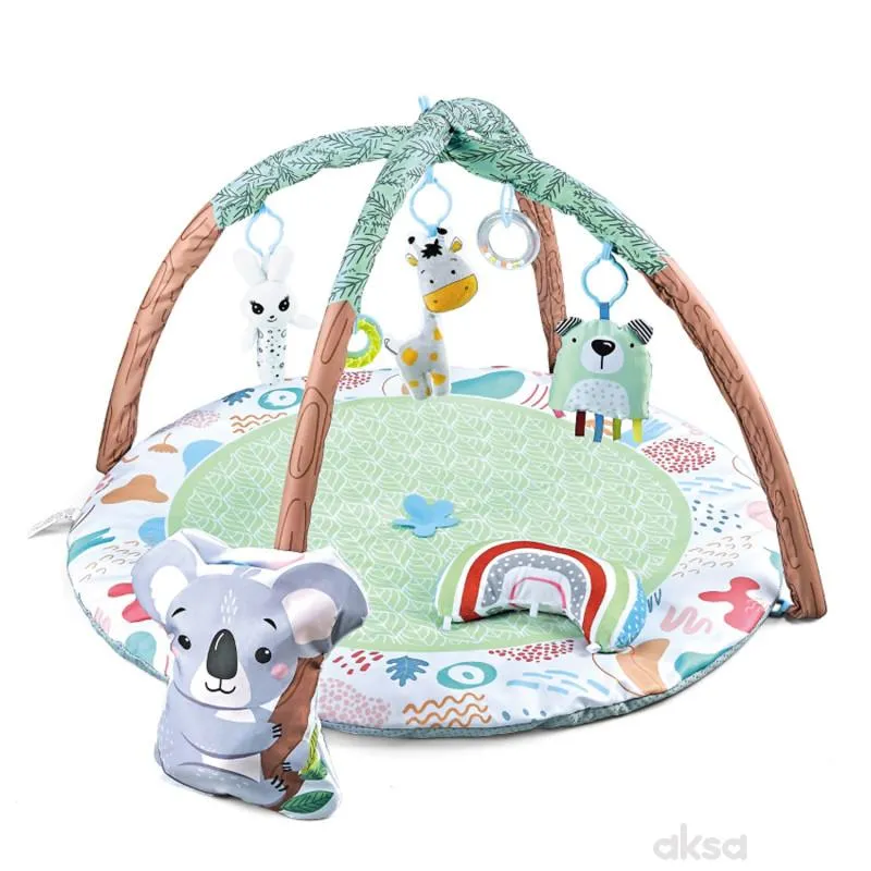 HK Mini gimastika, koala