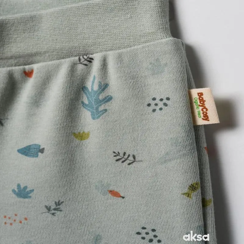 Baby Cosy pantalone bez stopica, set 2/1, unisex 