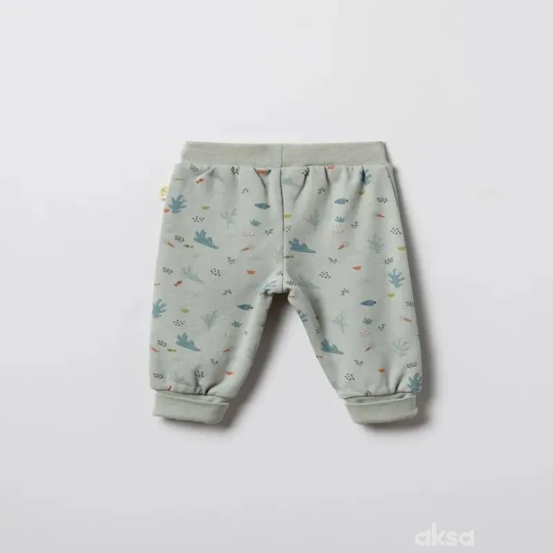Baby Cosy pantalone bez stopica, set 2/1, unisex 